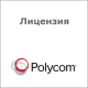 Лицензия Polycom 4870-85980-160