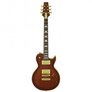 Гитара Aria Pro II PE-F80 SBR